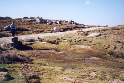 069-desert du coscionne